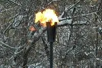 Факел садовый январь 2012 (197221) производство ø 65 мм. ветроустойчивая  в Волгограде