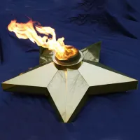 Звезда Ø 1100 - горелка ГВД 379 10 89 00 ПС (1636) в Волгограде