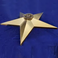 Звезда вечный огонь (1628) поставка комплект горелка ГВД 379 10 89 00 ПС ø 1100 мм. пустотелая  в Волгограде